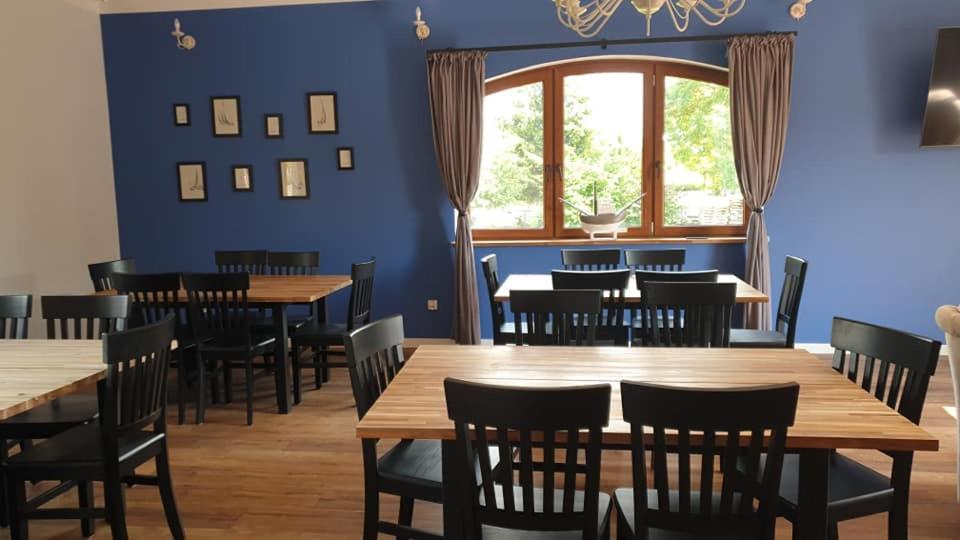 Czar Mamry Apartamenty Węgorzewo Extérieur photo